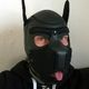 Spunky_Pup Avatar