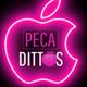 PecaDittos profile picture