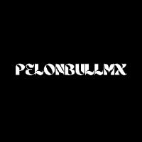 Pelon Bull Mx avatar