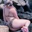 Rosa_Foxxx