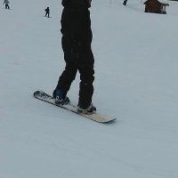 XAlucardX avatar