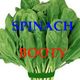 SpinachBooty Avatar