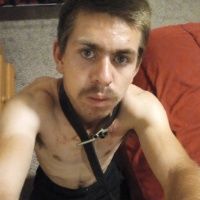 Submissive Fox avatar