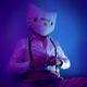TheMrKittyGuy Avatar