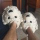 TigerSlippers01 profile picture