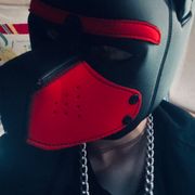 TransPupman avatar