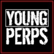 Young Perps avatar