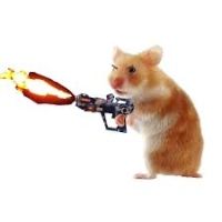 Hamsterfire avatar