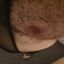 barebearparty