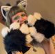 beckytheclown Avatar
