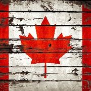 canadabean49 avatar