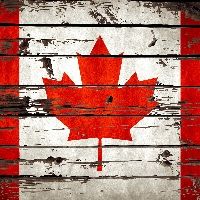 canadabean49 avatar