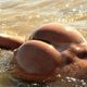 dirtysexcouple Avatar