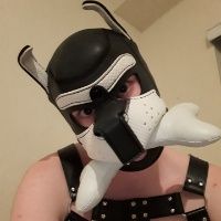 ftmPupBandit avatar