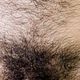 fitandhairy profile picture