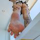 Joeys Feetgirls Avatar