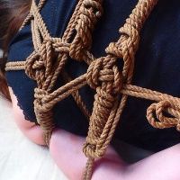 Lacher Prise Shibari avatar