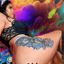 lexa_bulls