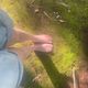 nymphfeet Avatar