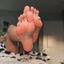 Feet Nymph