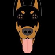 sdog2016 avatar