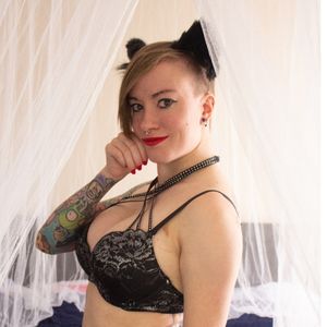 Trin kat pet avatar