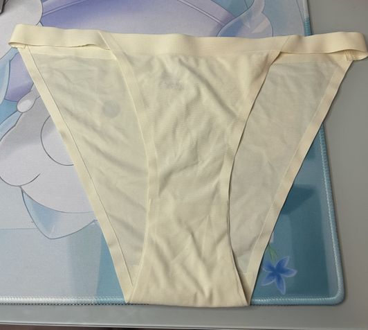 Silky Panties