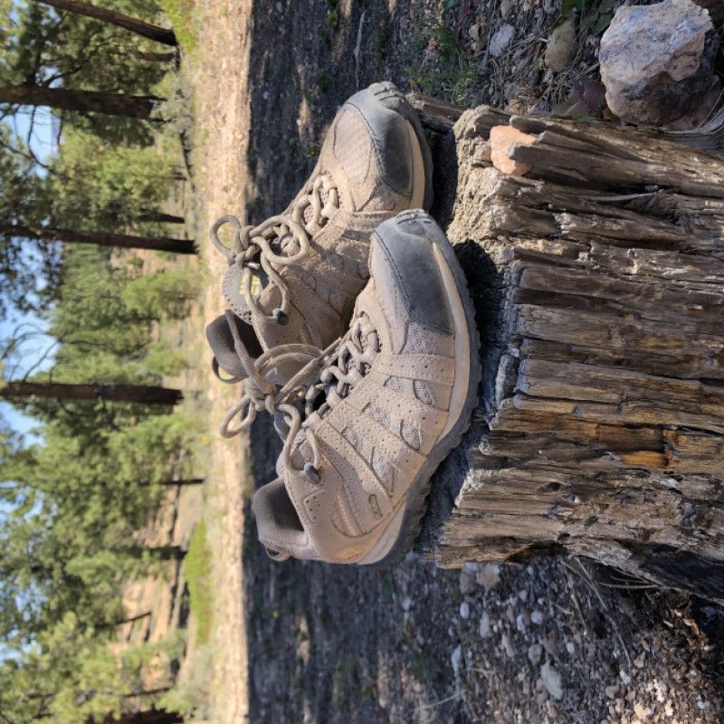 Hiking Sneakers Shoes