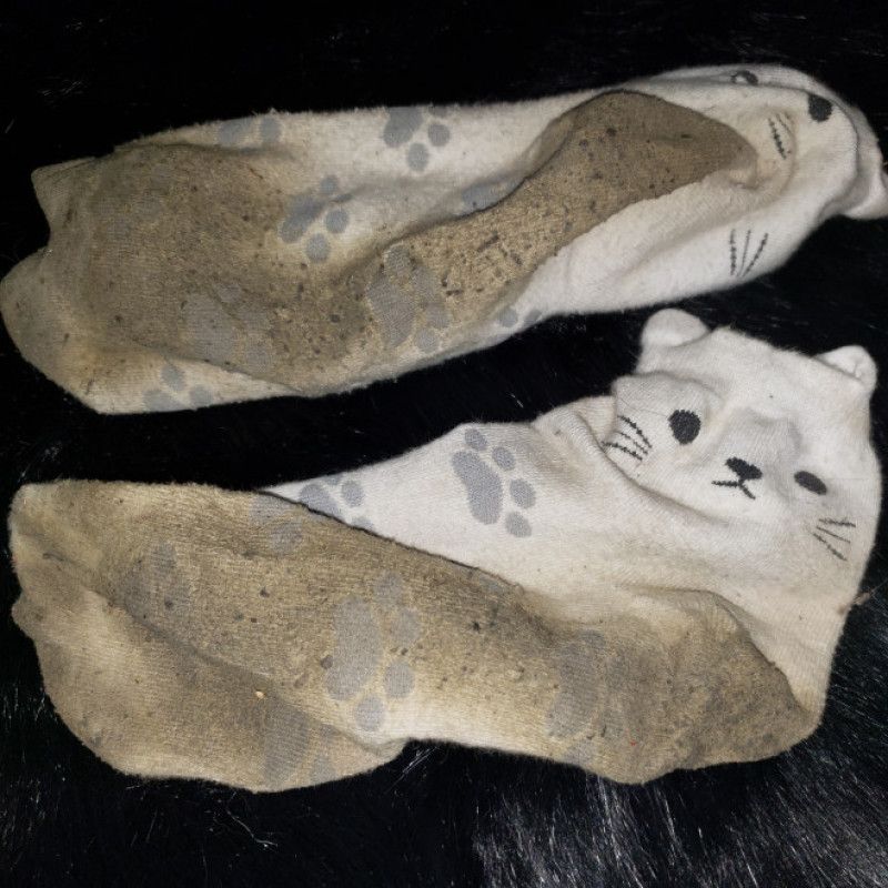 Moving Day: NASTY Kitten Socks