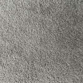 SFW Signed Photo of My Filming Room Carpet