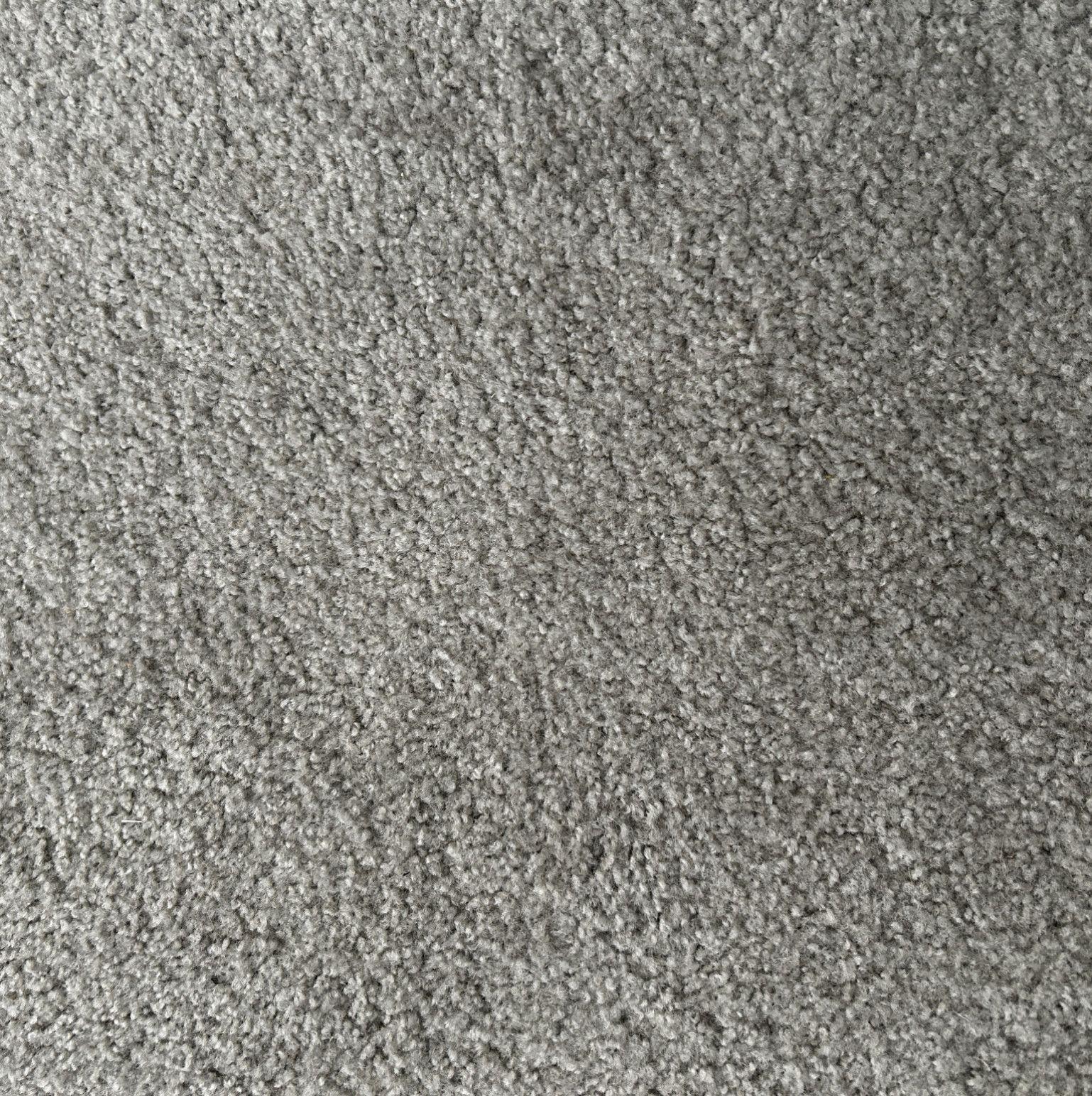 SFW Signed Photo of My Filming Room Carpet