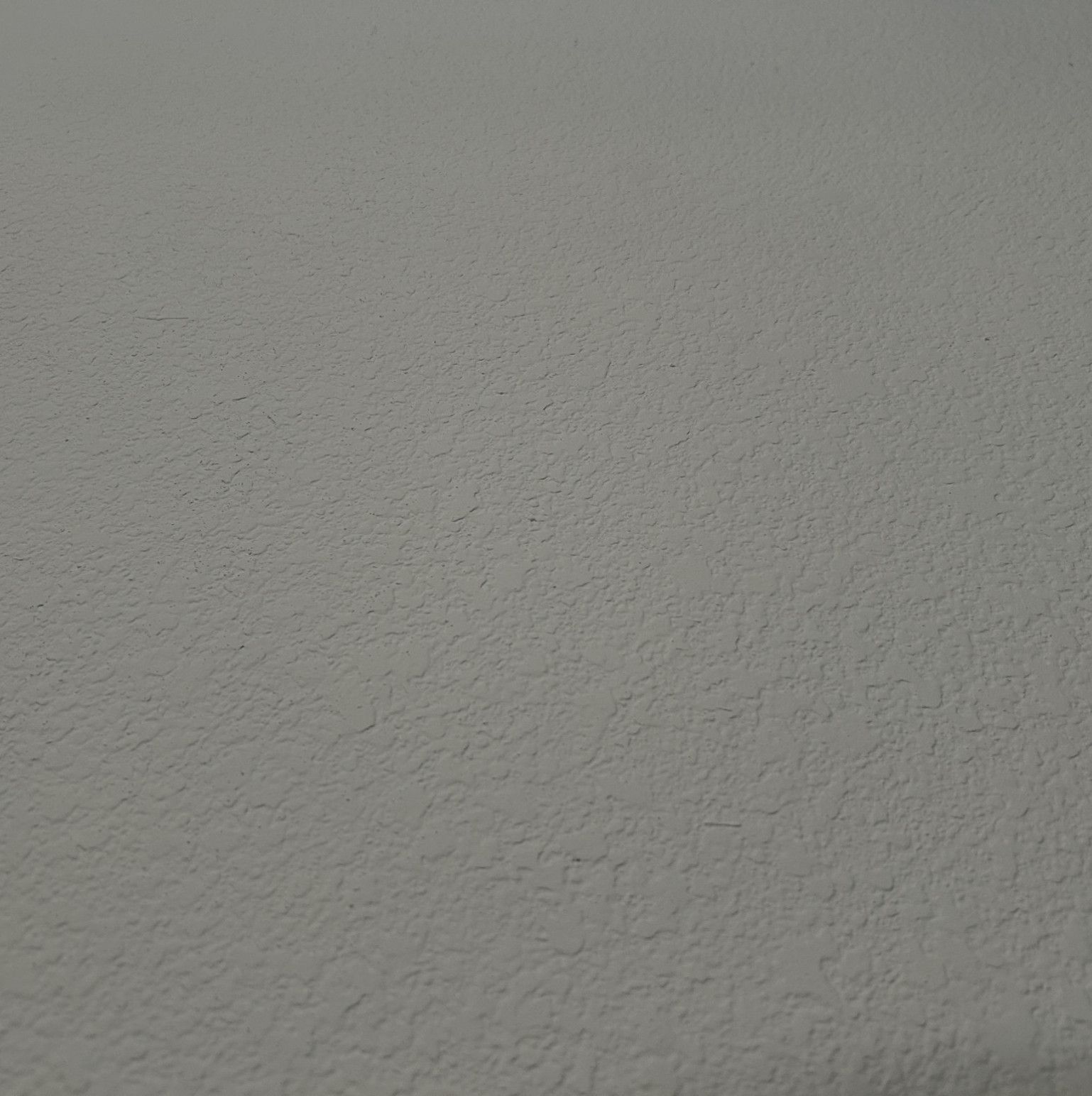 SFW Signed Print of My Filming Room Wall