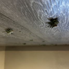 SFW Signed Art Print