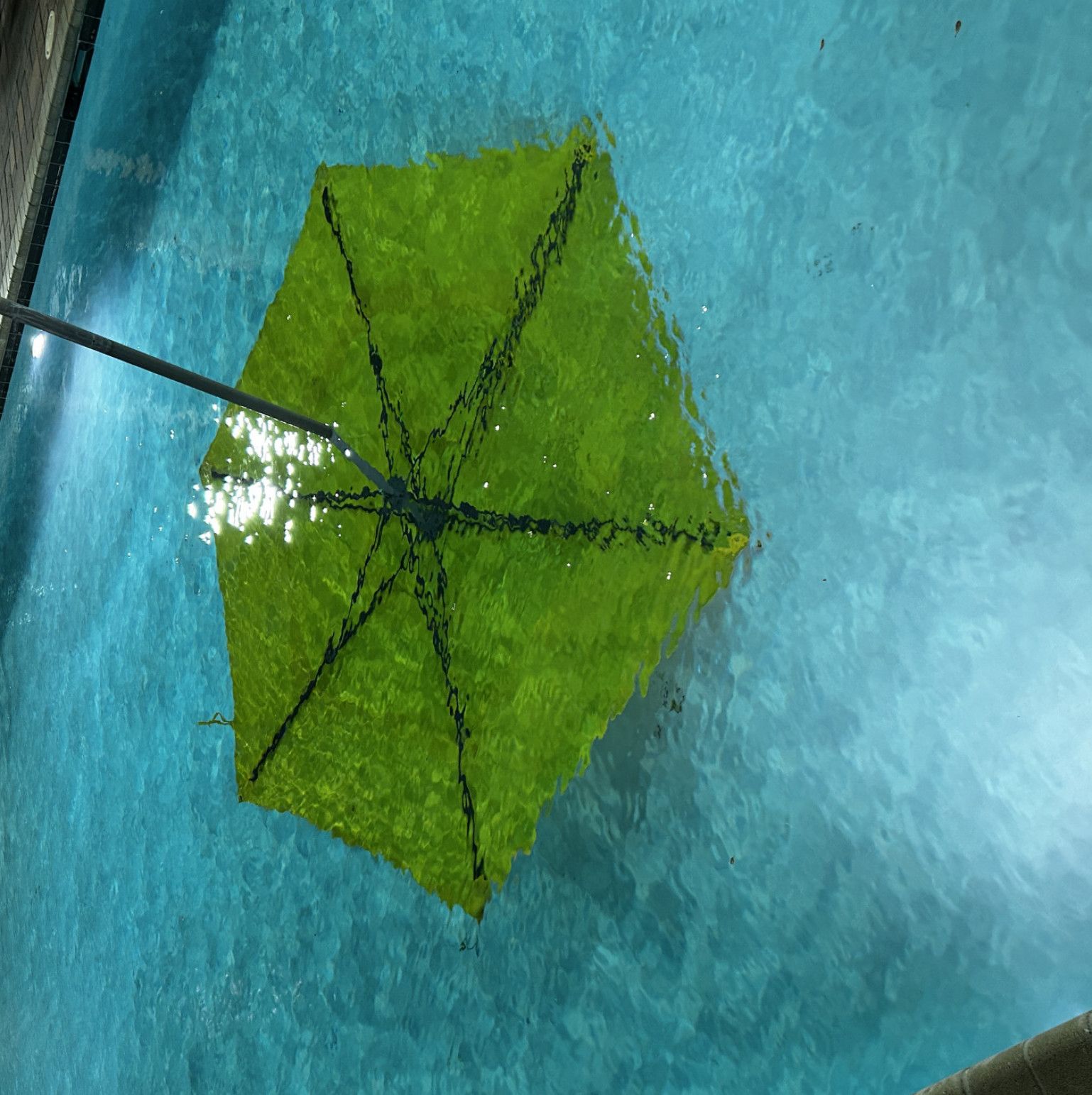 SFW Signed Art Print of Umbrella in Pool