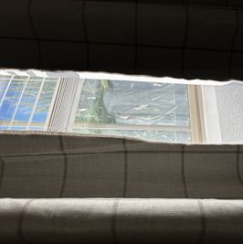 SFW Signed Photo of Window