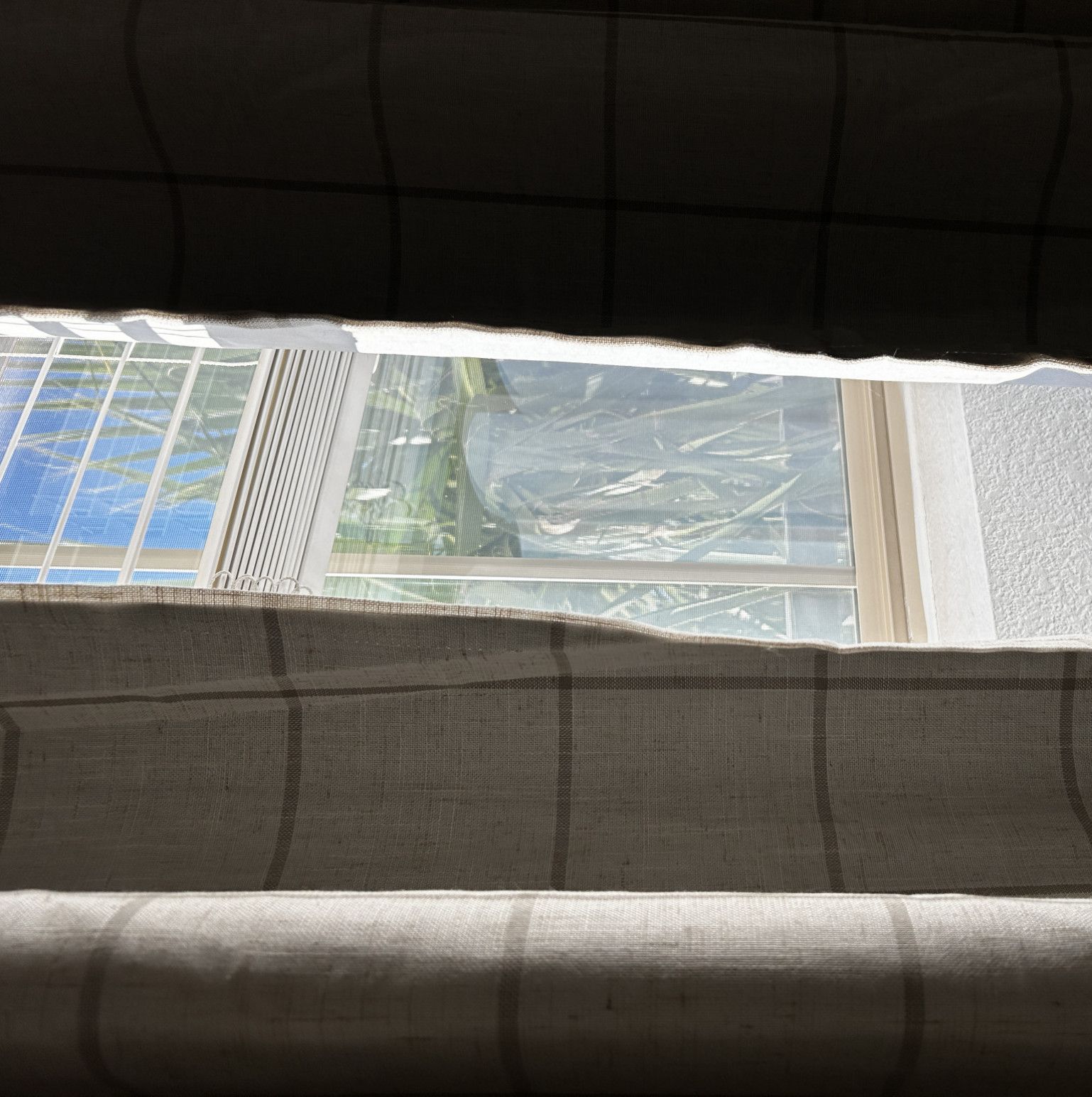 SFW Signed Photo of Window