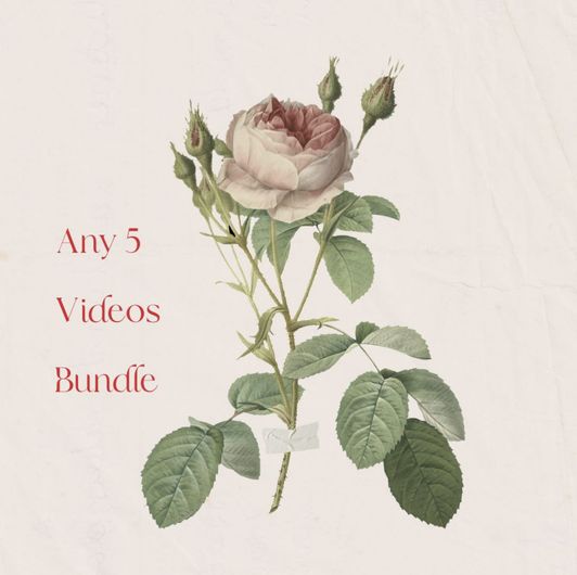 Any 5 Vids Bundle