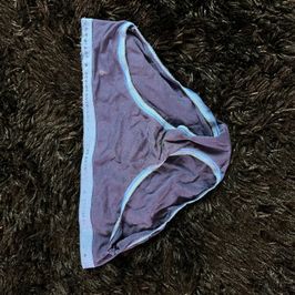 Blue Brief Panties Size Small