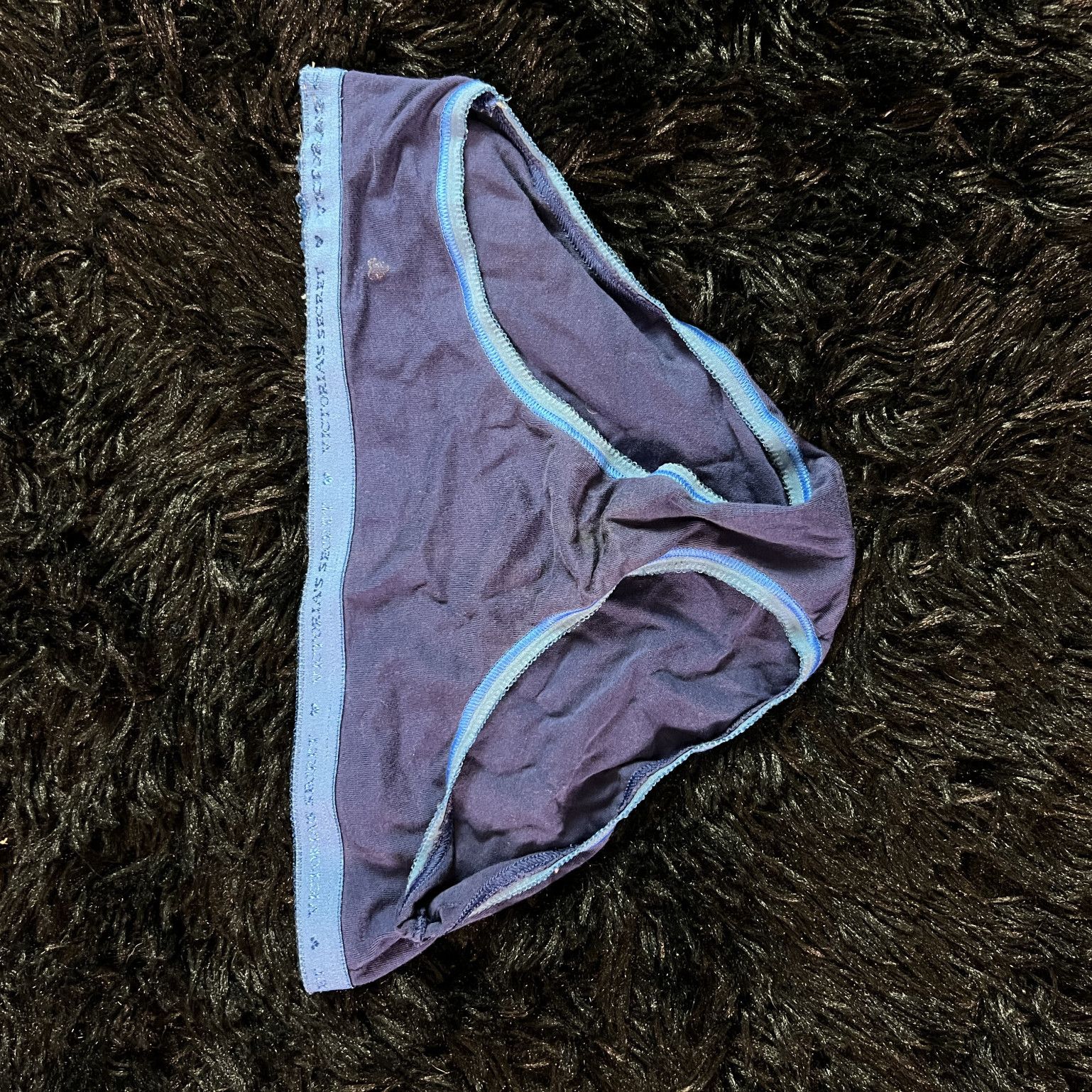 Blue Brief Panties Size Small