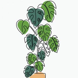 Buy me a plant