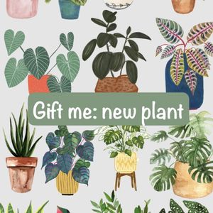 Gift me new plant