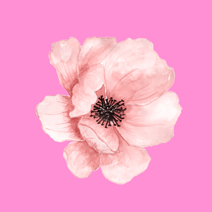 Buy me some flowers