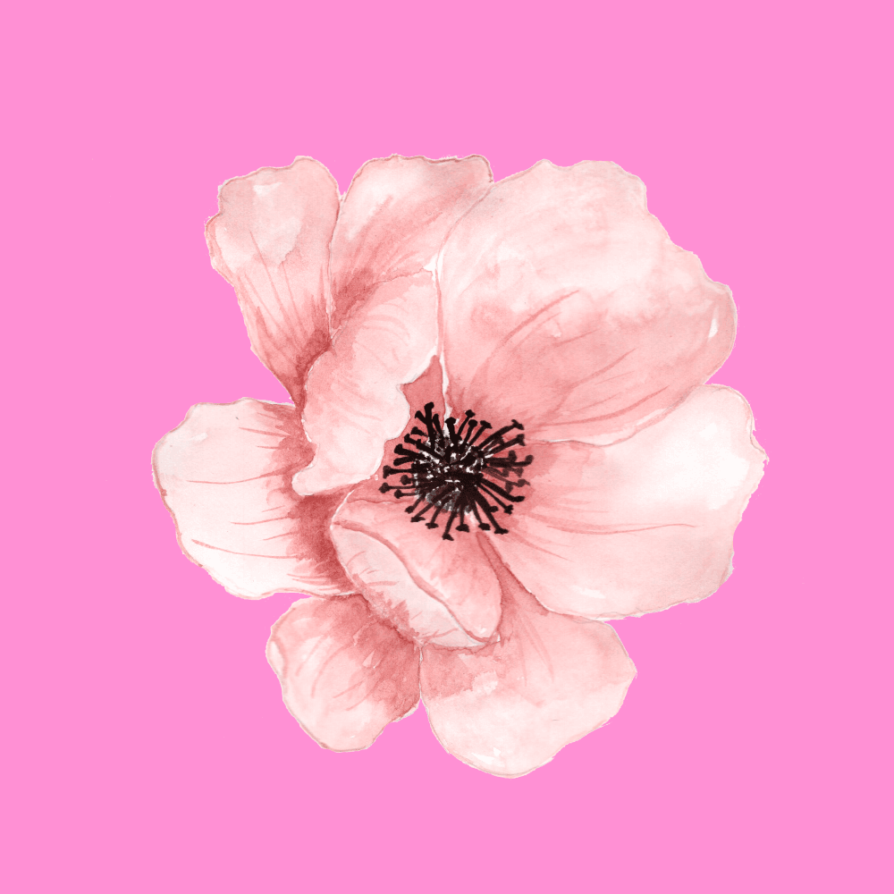 Buy me some flowers
