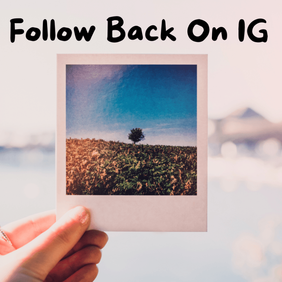Follow Back On IG