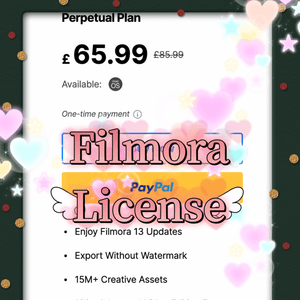 1 Editing Software Computer Licence
