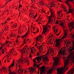 Gift me flowers!