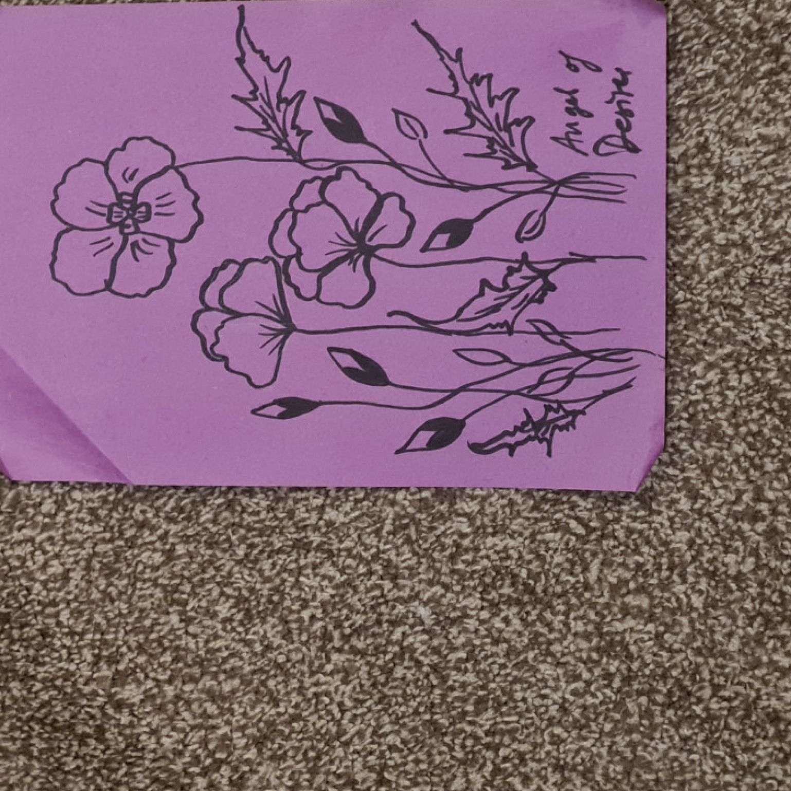 Poppies original drawing
