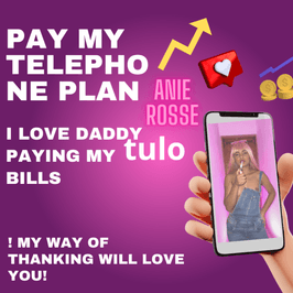 PAY MY TELEPHONE PLAN
