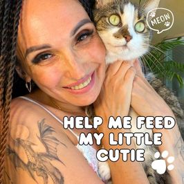 Spoil My Kitty
