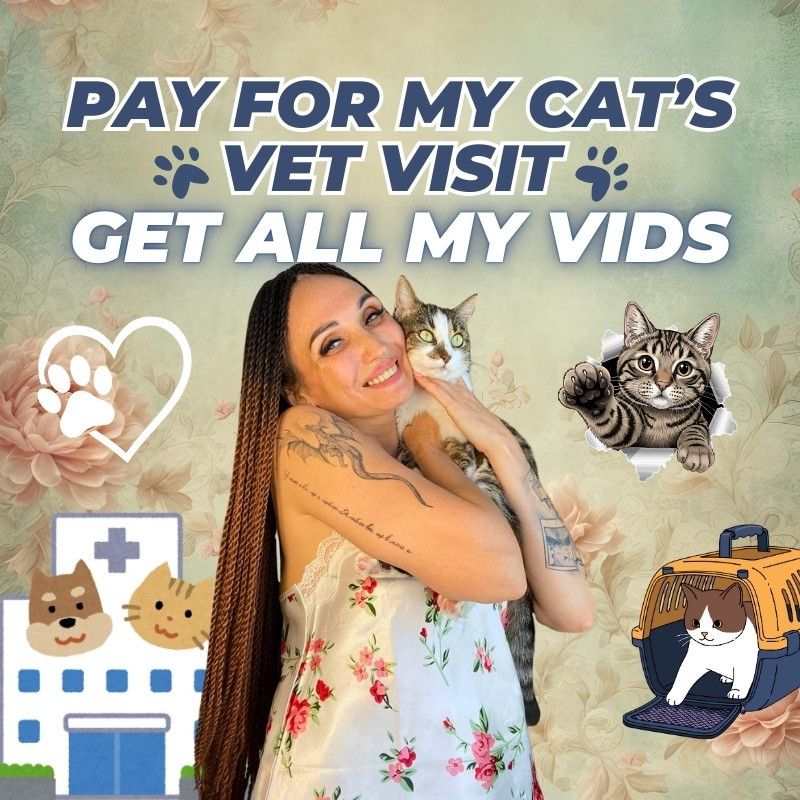 GET ALL MY VIDS FOR MY CATS VET CHECKUP